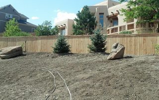 Cedar Fence